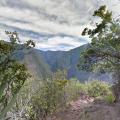 Great Basin Trail